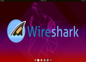 Wireshark Certified Network Analyst - WCNA 61 Wireshark reparadoweb