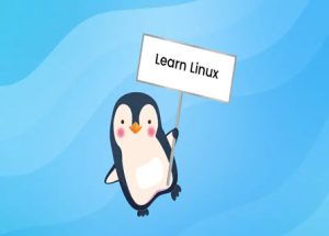 LPI Linux Essentials 41 why learn linuxweb2